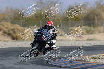 media/Feb-04-2023-SoCal Trackdays (Sat) [[8a776bf2c3]]/Turn 2 (1140am)/